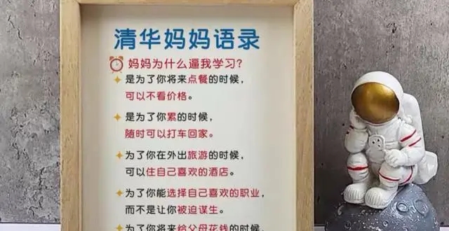 《清华妈妈语录》走红的背后,是孩子为什么要读书?怎么学?